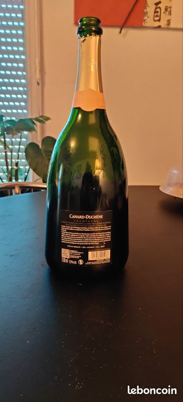 Bouteille magnum de champagne vide (image 4)