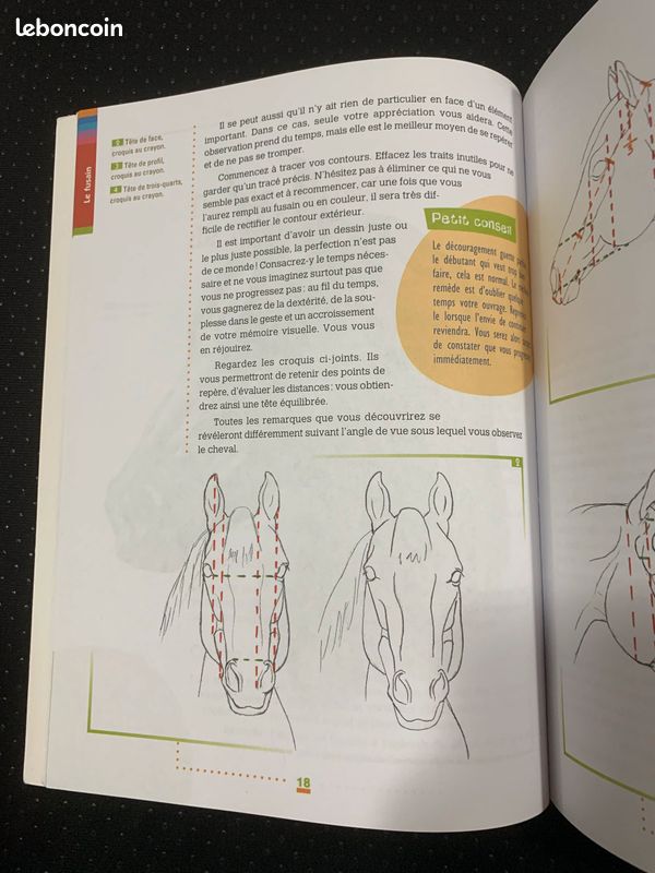 Dessiner les chevaux et les poneys - manuel (image 8)