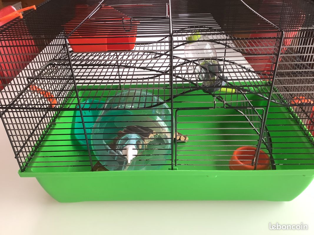 Cage hamster (image 1)