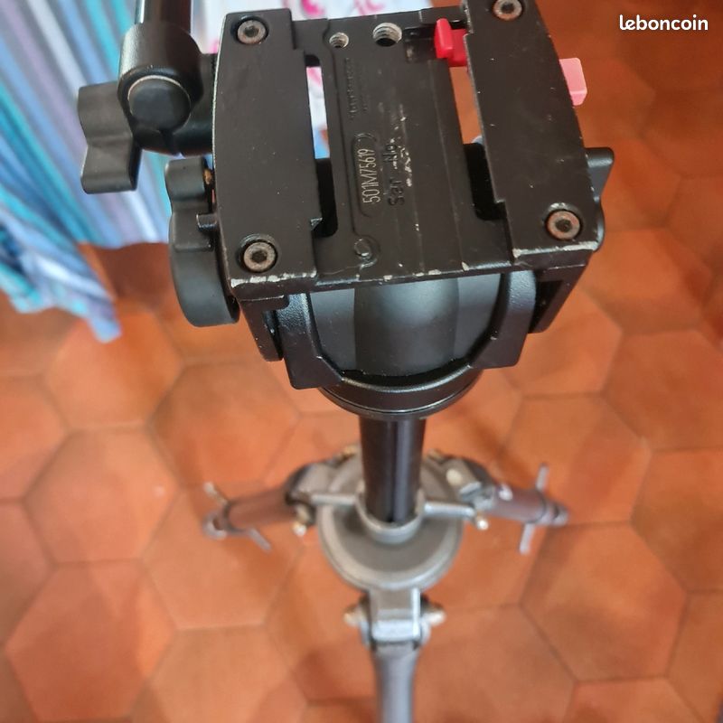 Ensemble trepieds Gitzo et rotule Manfrotto 501 (image 2)