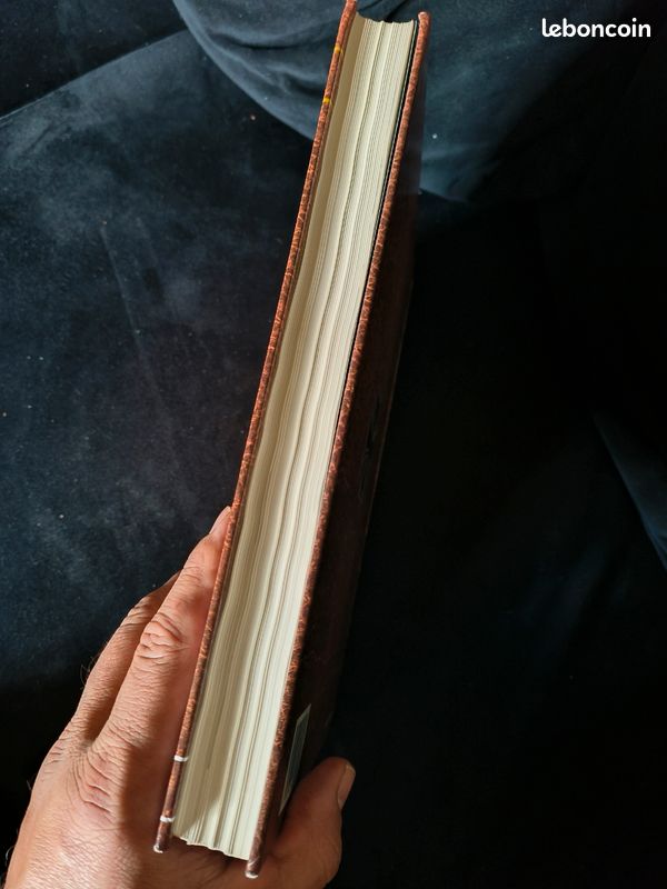Livre Division Allemande ww2 (image 4)