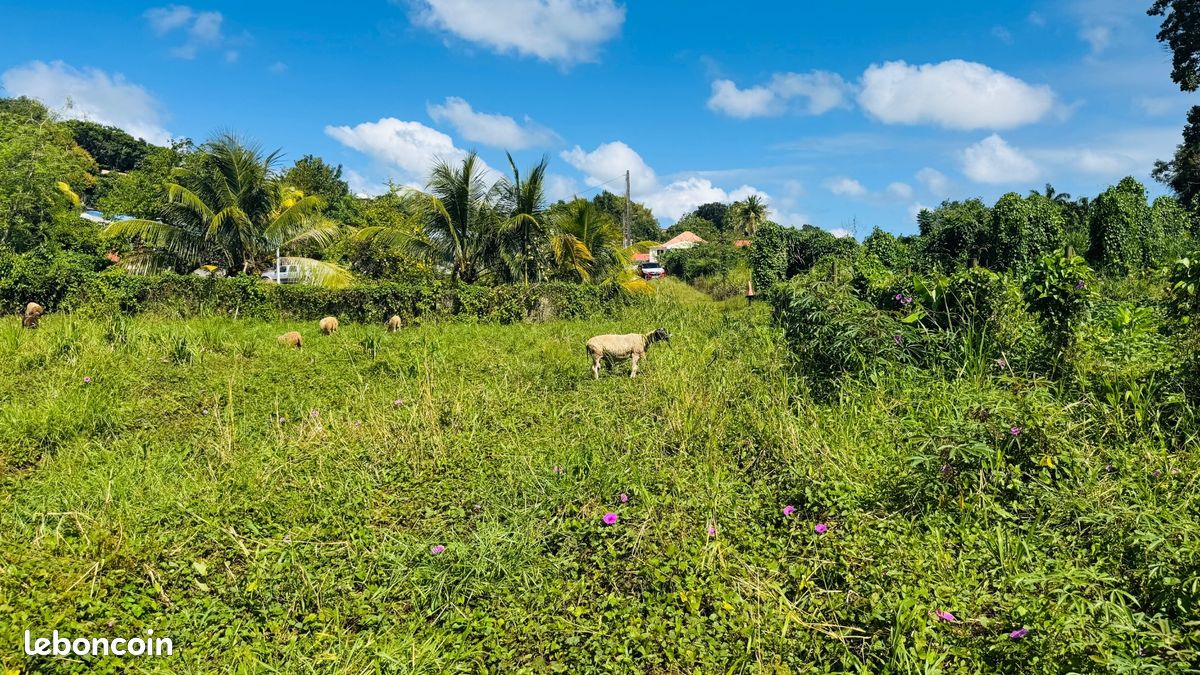 Terrain 1866 m² · à Ducos · 120 000 €