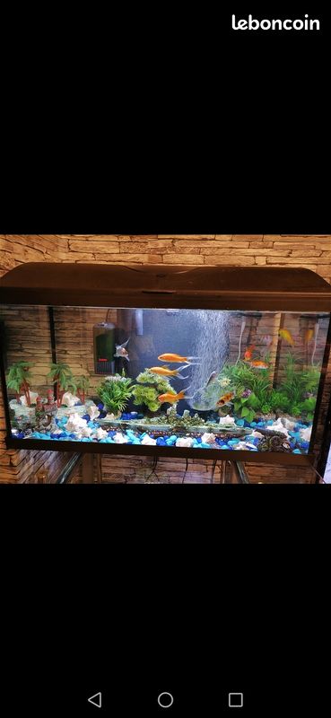 Aquarium (image 1)
