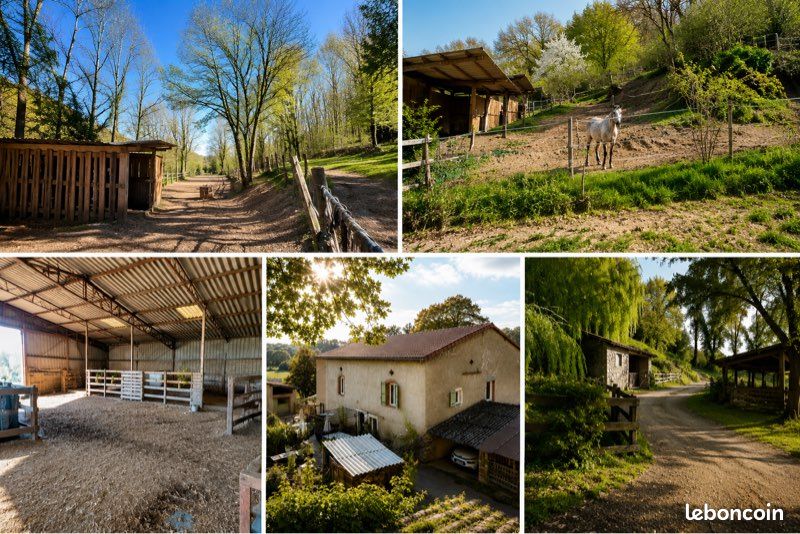 Maison 12 pièces 300 m² · à Fauch · 300 m² · 285 000 €
