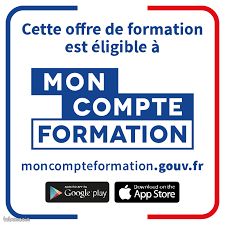 Attestation de capacité de transport de marchandises / voyageurs (H/F/X) (image 1)