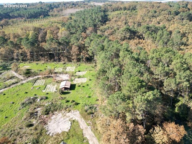 Terrain 35 648 m² Argenton