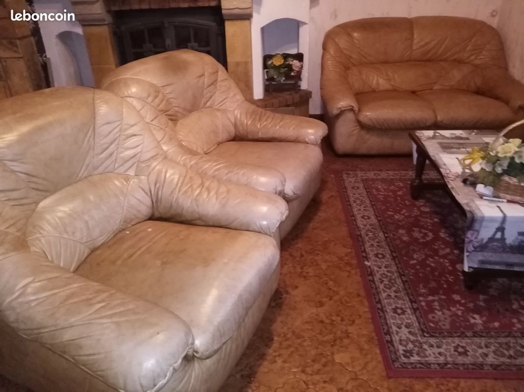 Salon en cuir (image 1)