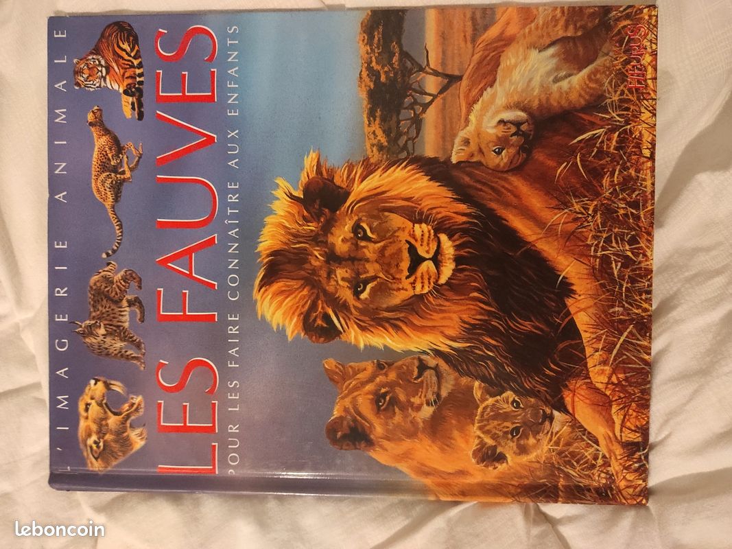 L'imagerie animale Les fauves (image 2)