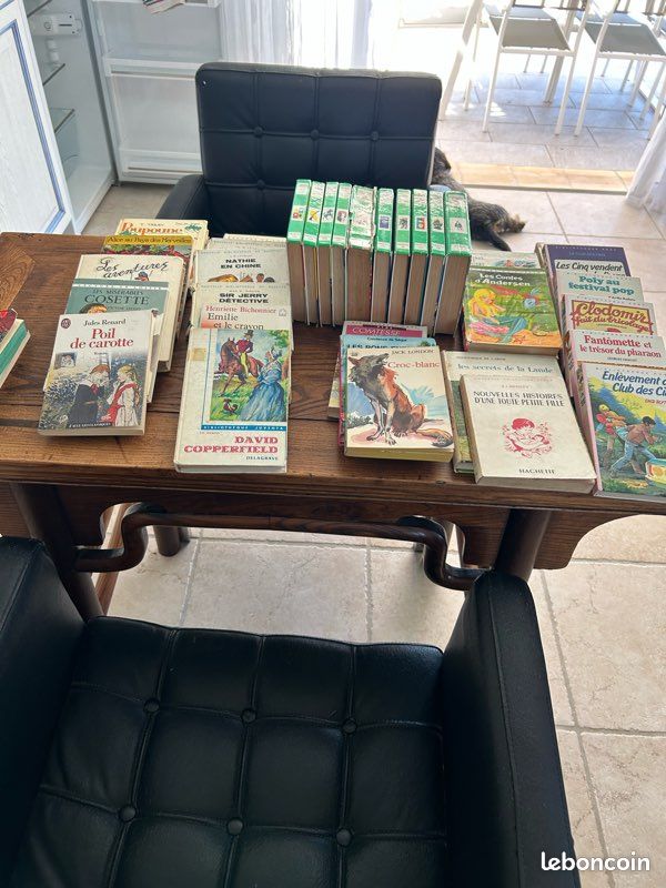 Livres de jeunesse (image 1)
