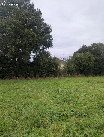 Terrain constructible