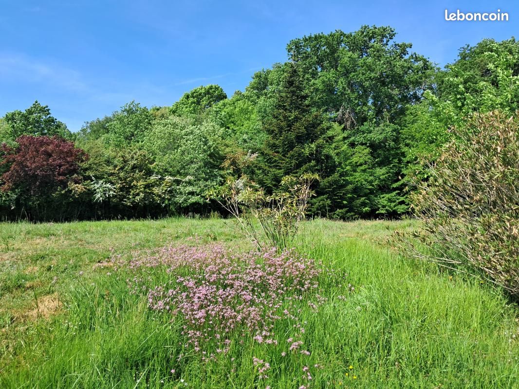 Terrain 800 m² Latresne · 265 000 €
