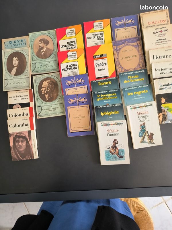 Classiques pour collège/lycée et nostalgiques (image 1)