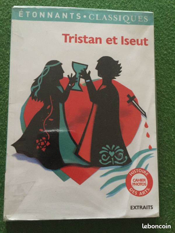 Livre Tristan et Iseut Etonnants classiques (image 1)