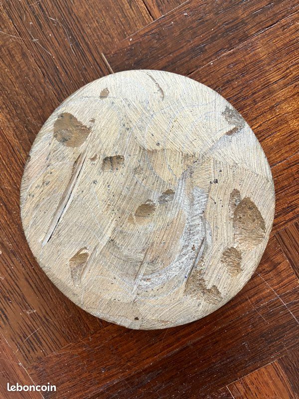 Fossile pierre (image 2)
