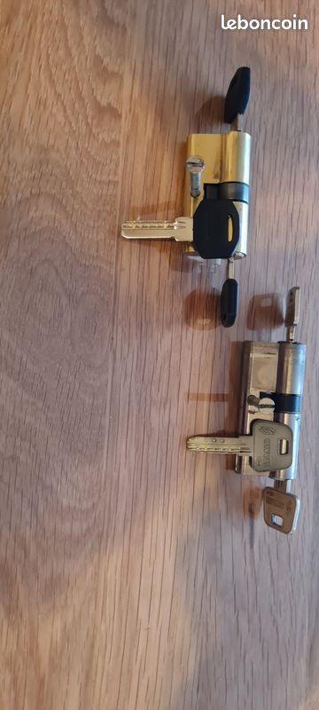 Cylindres de porte (image 2)