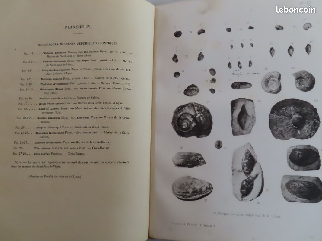 Livres anciens, prix en baisse par lots (image 4)
