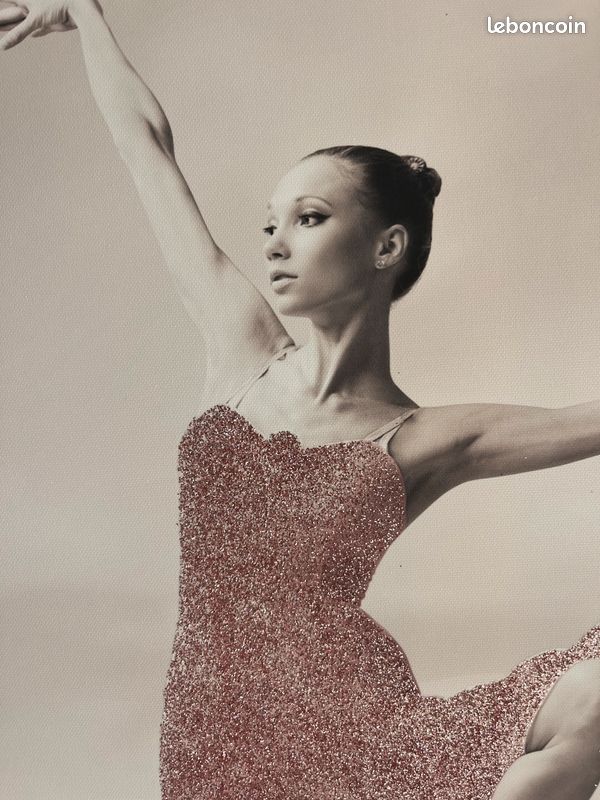 Toile danseuse rose et gris 70x100 cm (image 3)