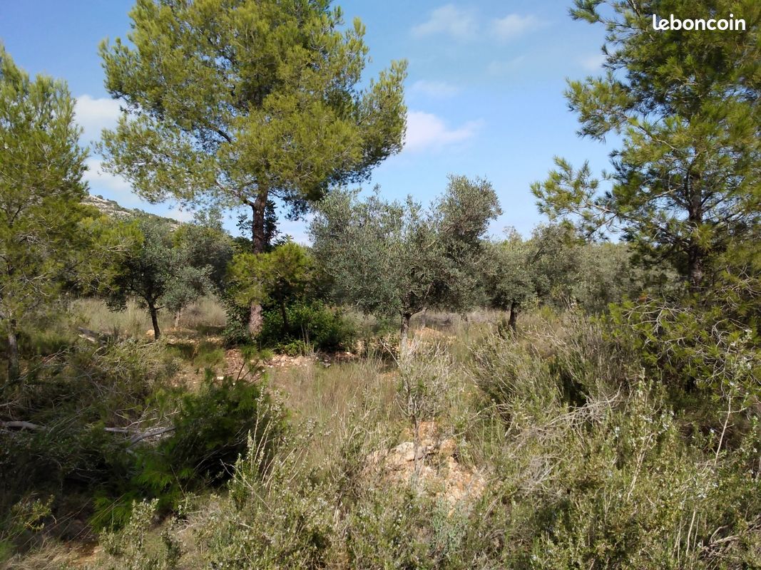 Terrain en Espagne · à Saint-Éloy-les-Mines · 19 500 €