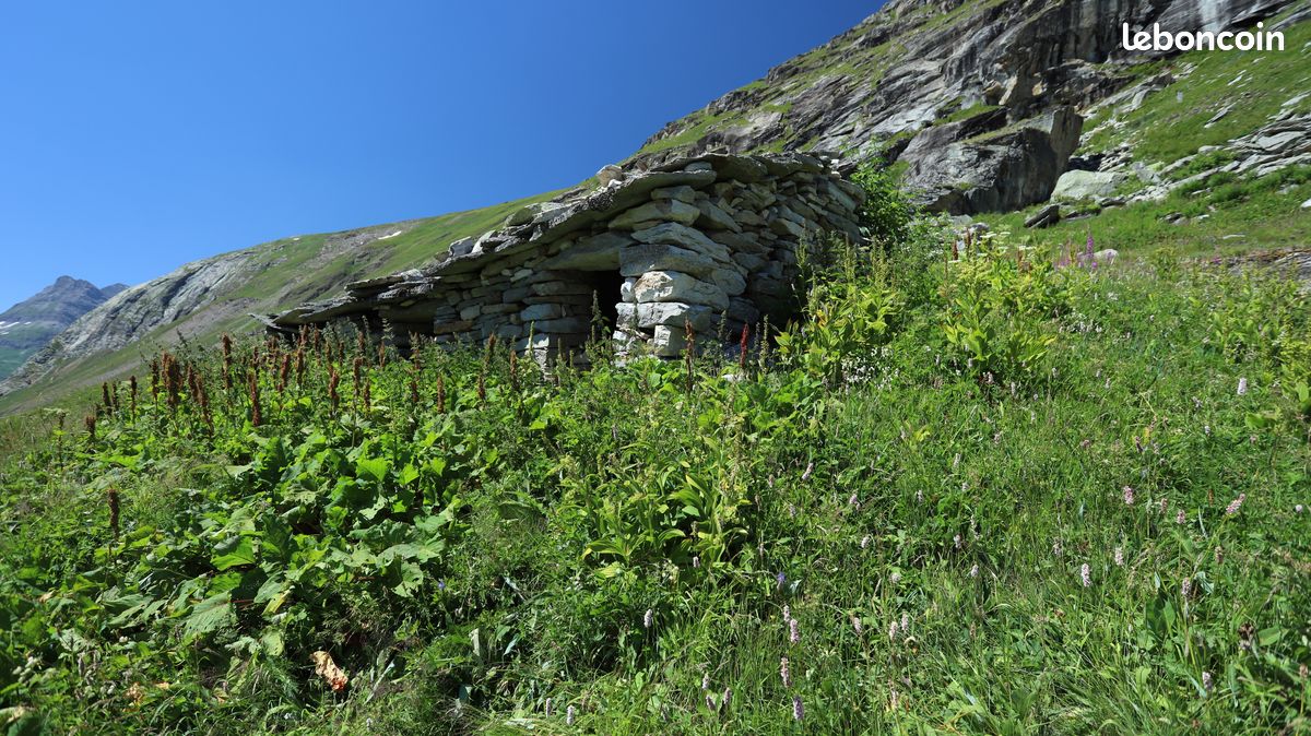 Gite 4* dans superbe chalet Alpin dans un lieu d'exception (image 9)