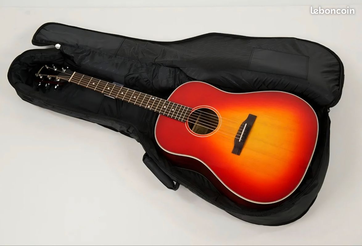 Housse de guitare classique Ritter RJG 600-C 4/4 – Neuve (image 4)