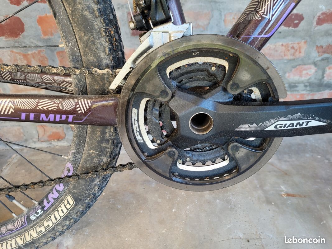 VTT giant Tempt (image 12)