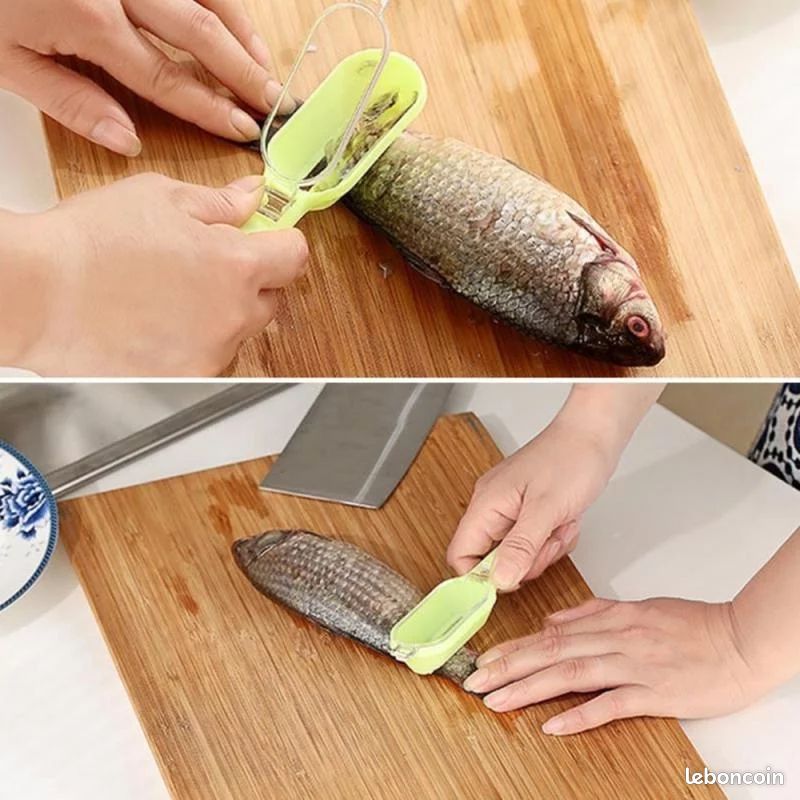 Brosse à écailles De Poisson En Inox — Neuf, Fabrication Française, Idéale Pour Cuisine Et Pêche