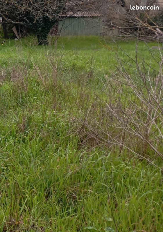 Terrain agricole loisirs (image 2)