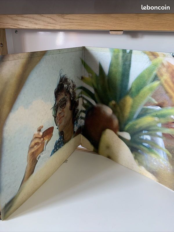 Disque Vinyle 33T Mike Brant 74 (image 2)