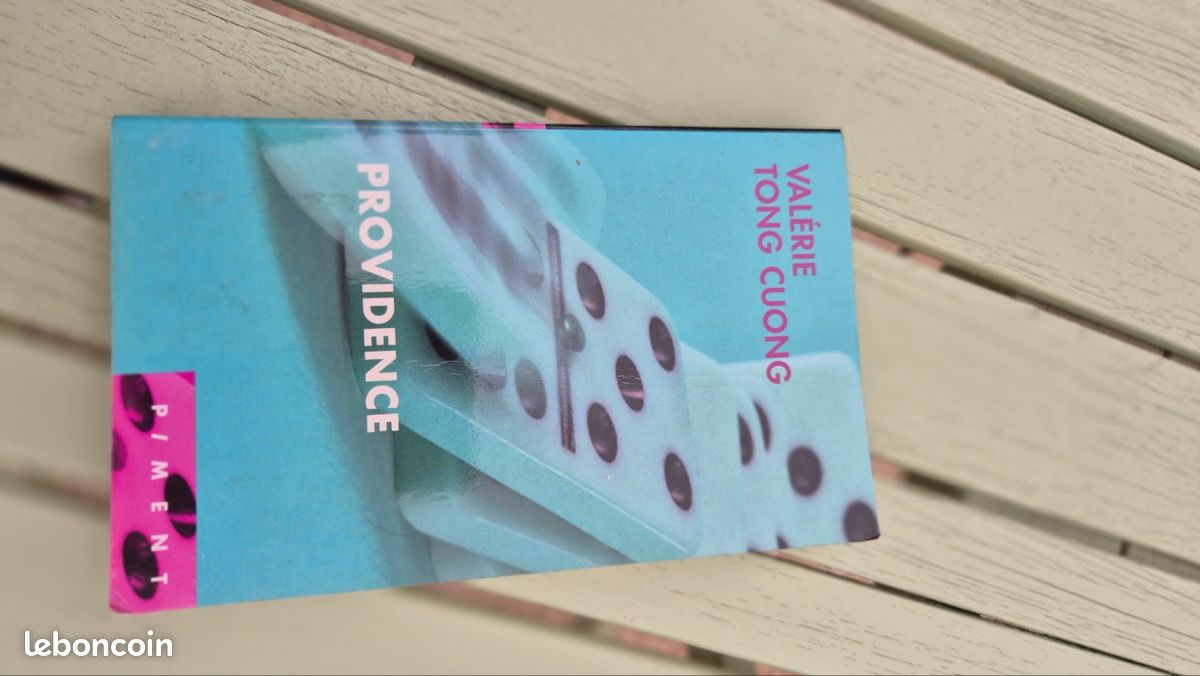 Livre PROVIDENCE (image 2)