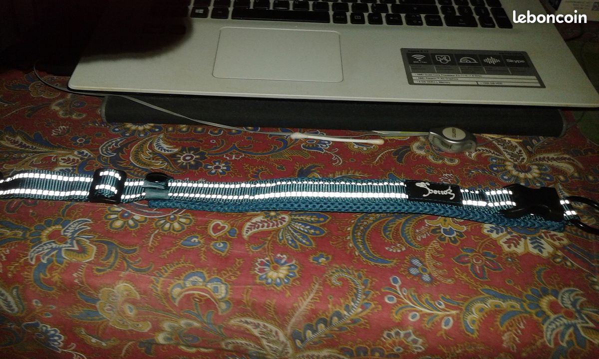 Collier pour petit chien (image 3)