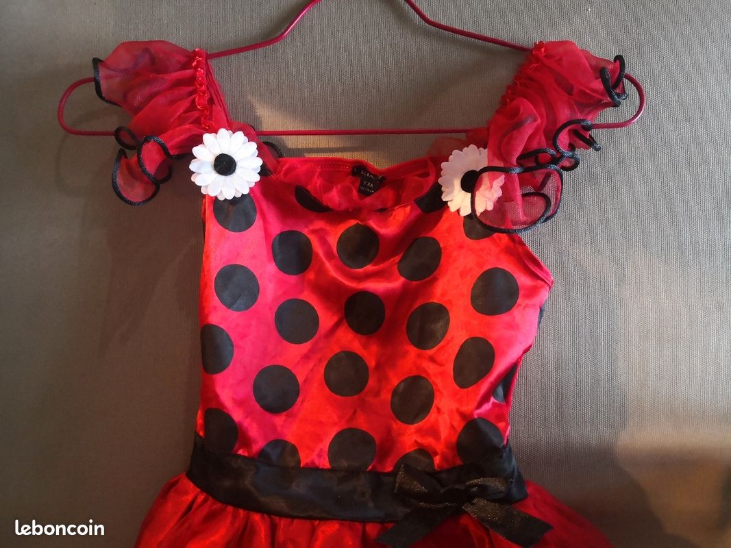 Déguisement coccinelle 6 ans (image 3)