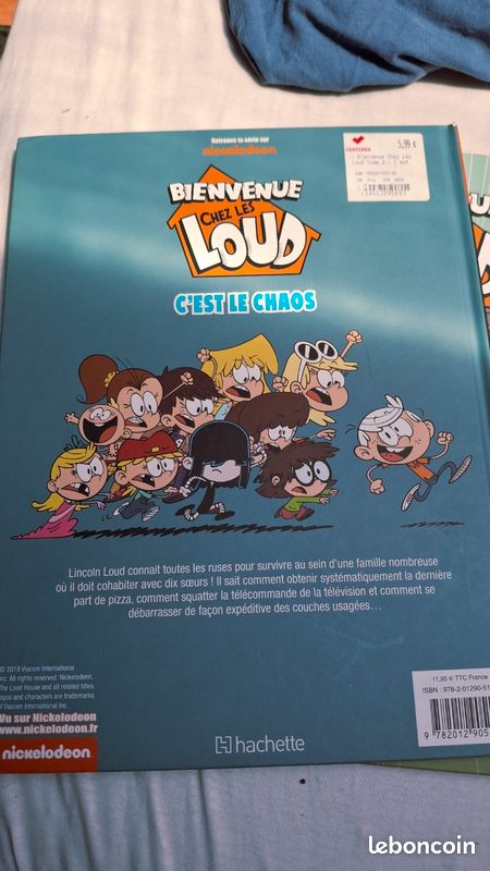 Bienvenue chez les Loud - C'est le Chaos (image 2)