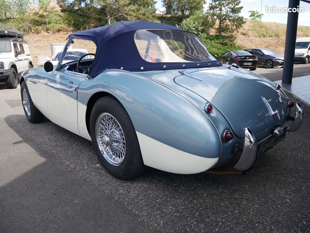 Austin AUSTIN HEALEY 3000 2.9 BJ7 MK 2A (image 8)