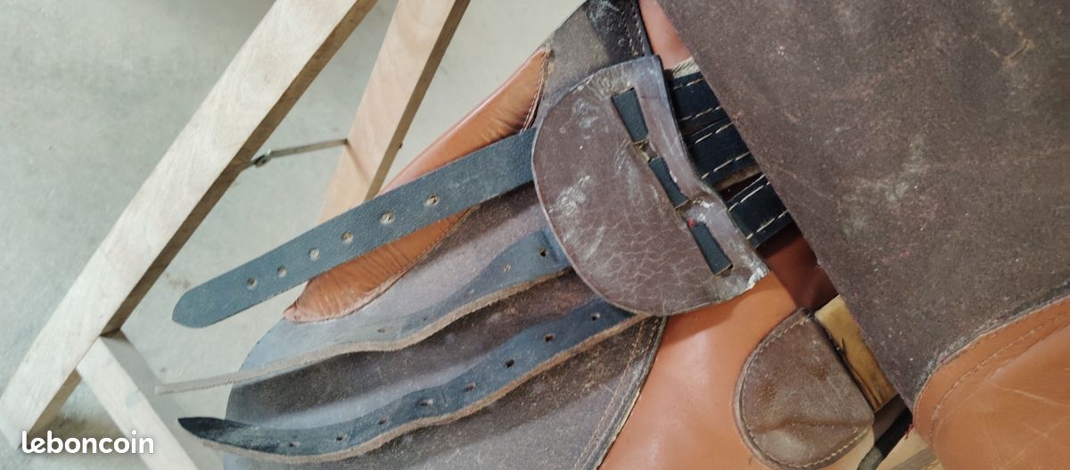 Selle équitation (image 3)