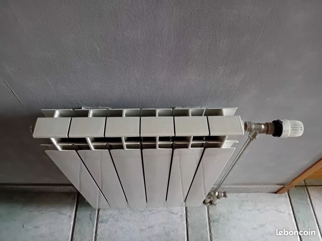 Radiateur fonte alu (image 4)