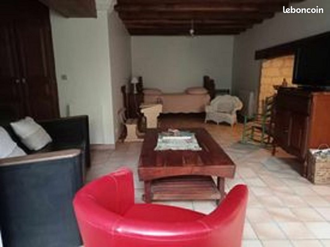 Location de gîte à proximité de Chinon et de la confluence Loire et Vienne (image 5)