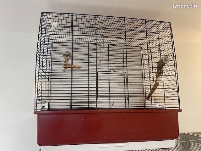 Cage (image 1)