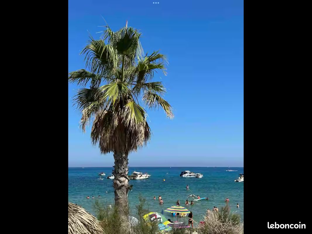 Superbe Studio à 50 m de la plage de Bormes la Faviere (image 11)