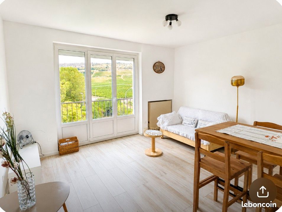 Appartement 1 pièce 29 m² · à Nuits-Saint-Georges · 29 m² · 540 €/mois