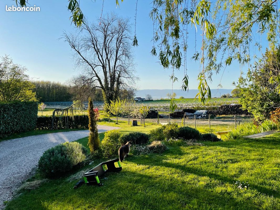 "La Petite Grange" location maison de vacances (image 9)