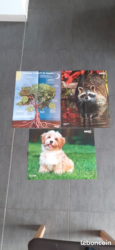 Lot de 3 posters (image 2)