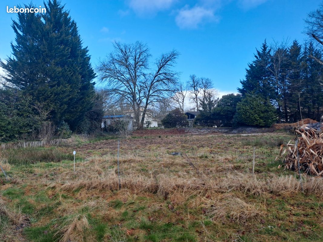 Terrain belin béliet- Garrot 1041 m2 · à Belin-Béliet · 135 000 €