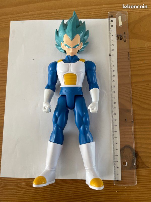 Dragon ball Z Végéta (image 1)