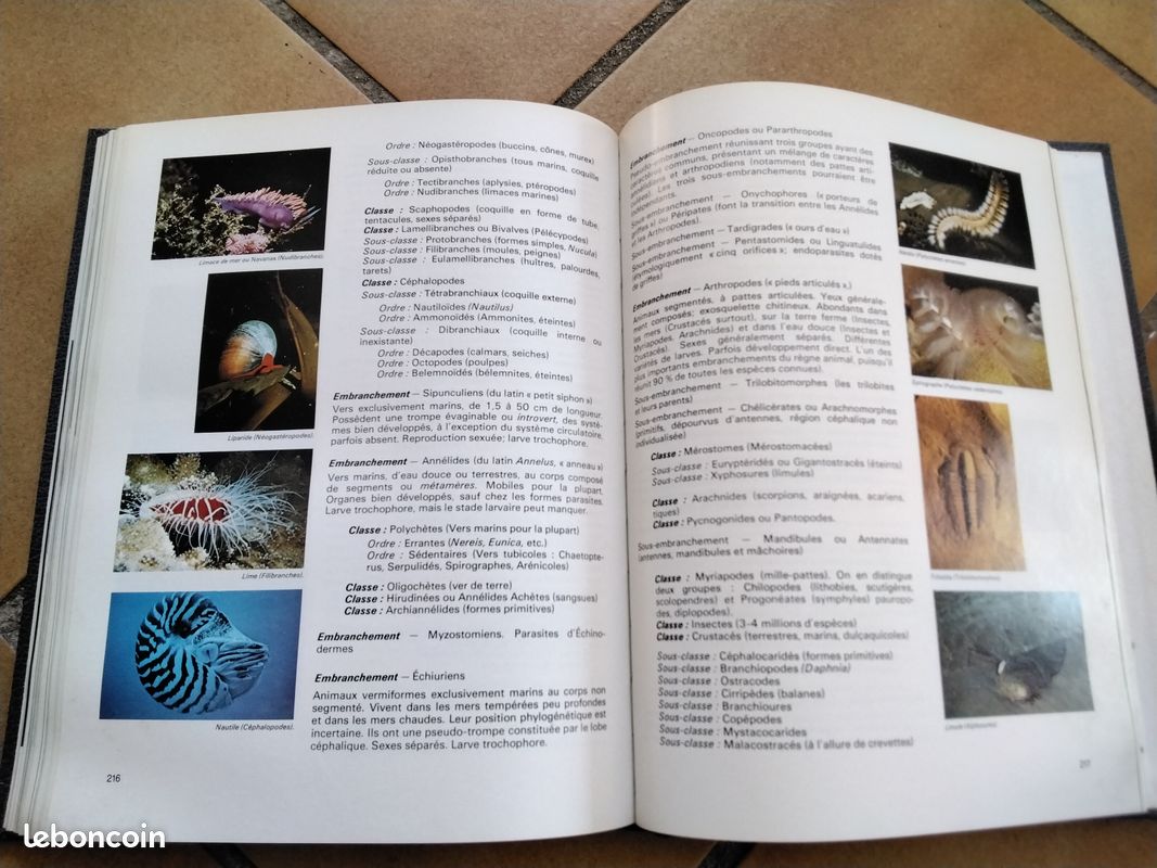 Encyclopédie Cousteau (image 2)