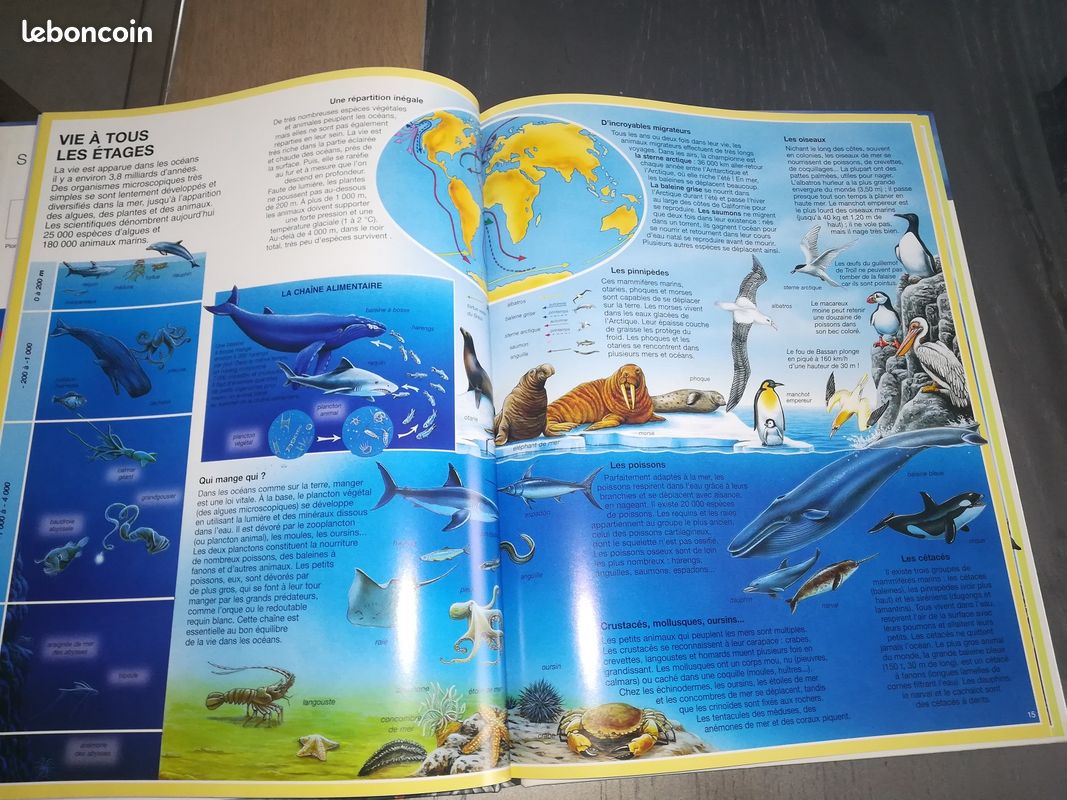 L'atlas des océans (image 2)