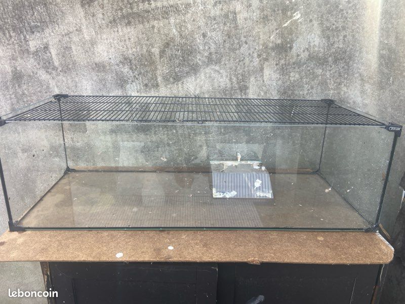 Terrarium (image 1)