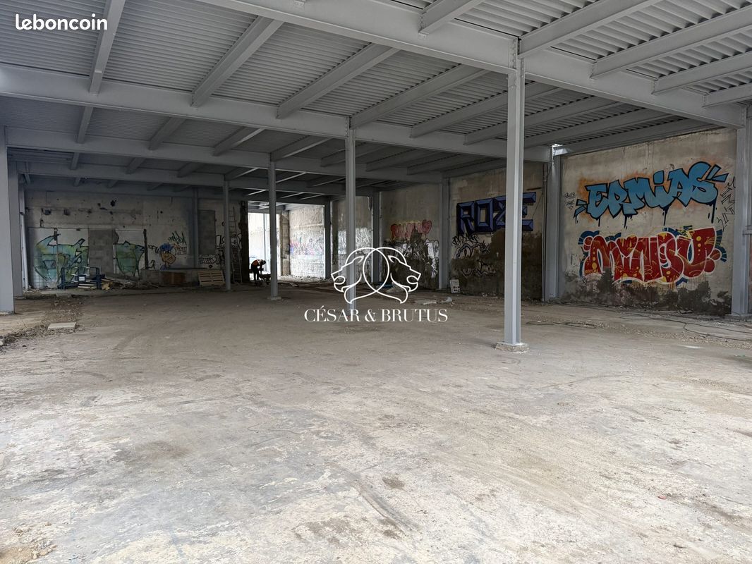 Local 2600 m² Villeurbanne (image 6)