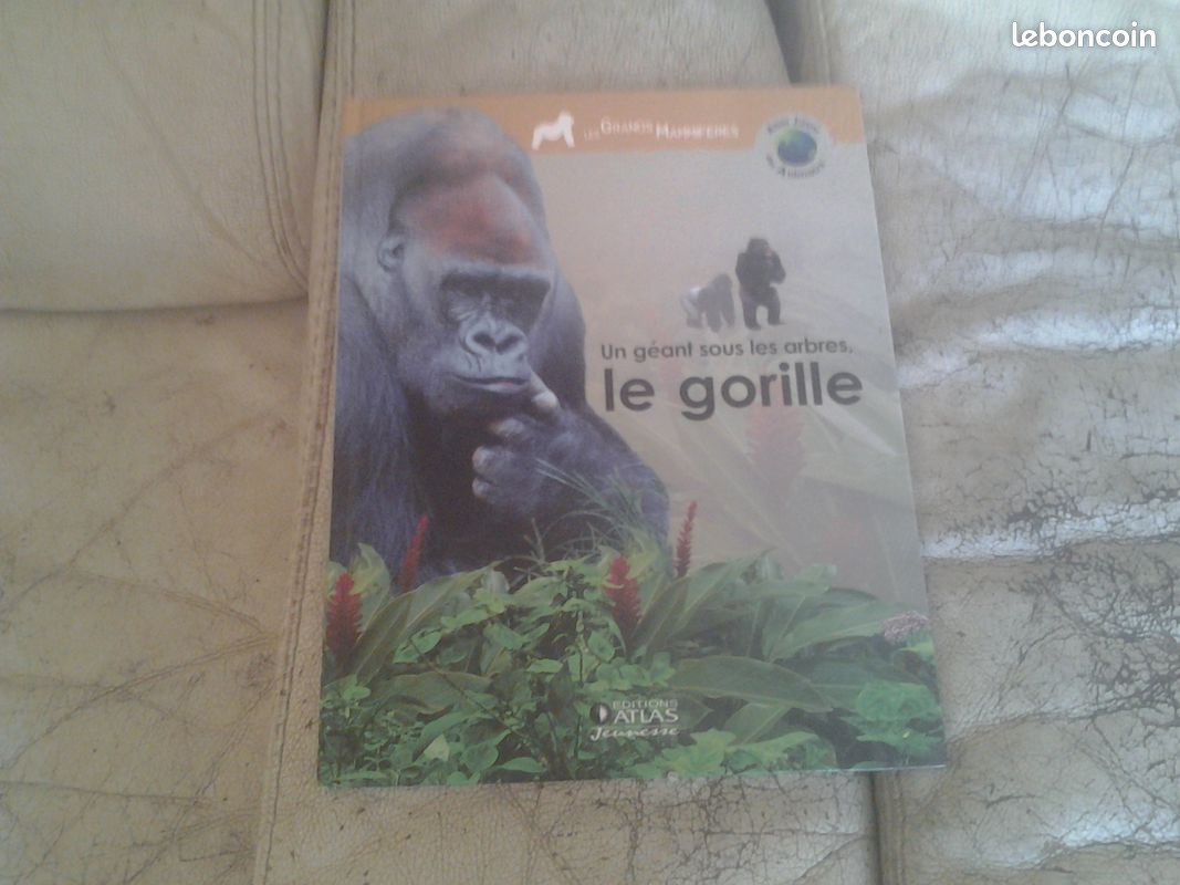 Livre un geant sous les arbres le gorille (image 1)