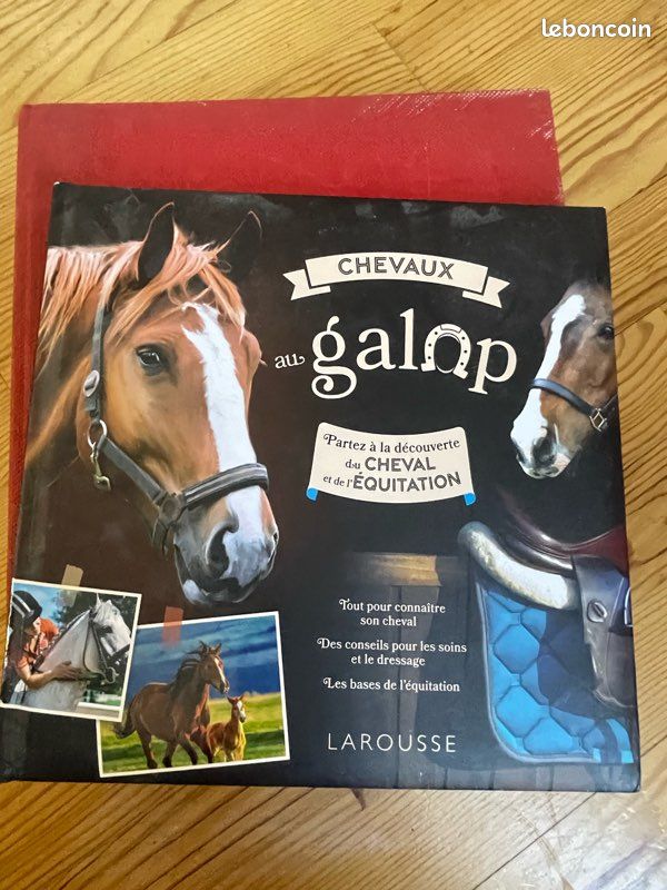 LOT livre cheval équitation divers + figurines de cheval (image 5)