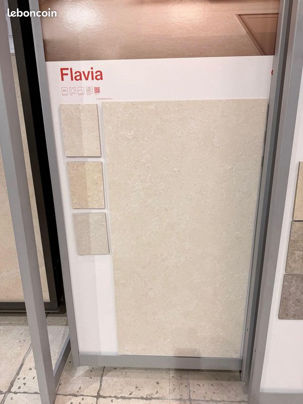 Carreaux extérieur 60x120. Total 100 m2 (image 1)